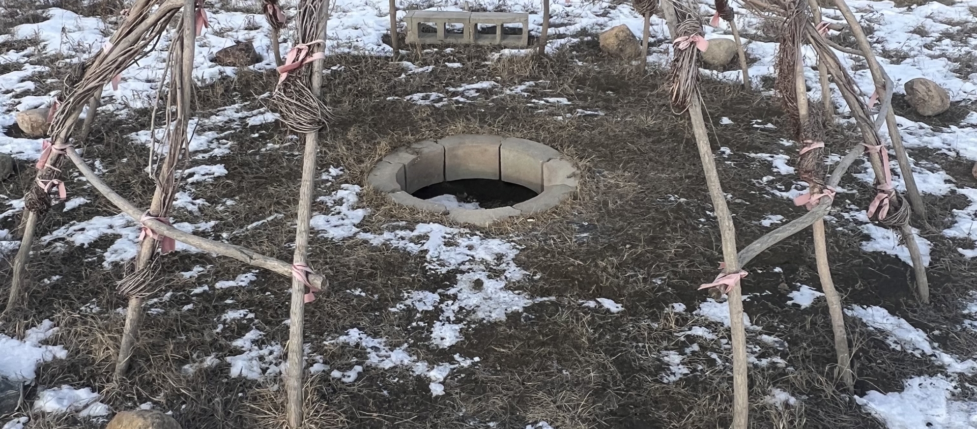 The willow frame of a sweat lodge